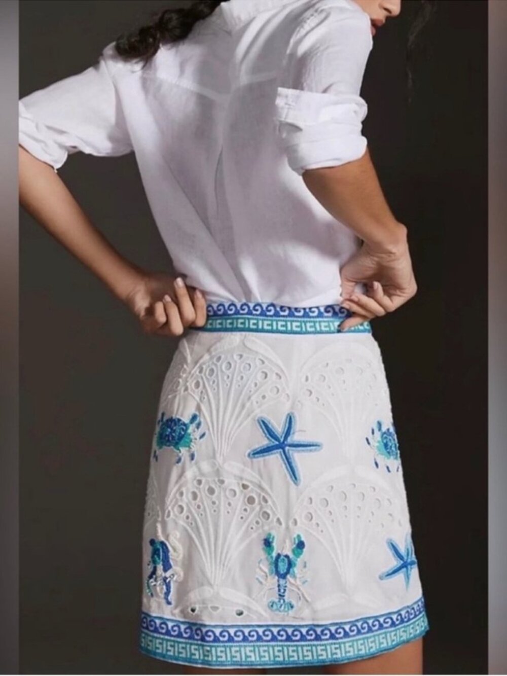 Maeve Anthropologie Size 2 Beaded Embroidered Skirt